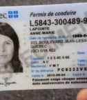 Canadian-dirvers-License-1