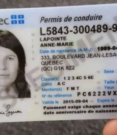 Canadian-dirvers-License-1