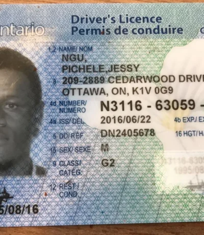 Canadian-dirvers-License