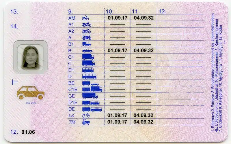 Danish-drivers-License-back