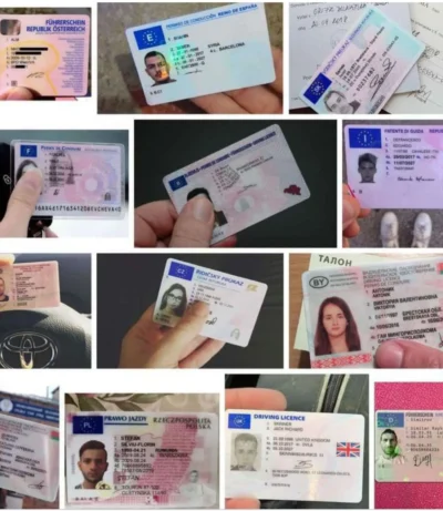 Drivers-Lciense (1)