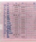 German-drivers-License-back-600x379