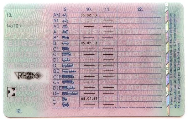 German-drivers-License-back-600x379