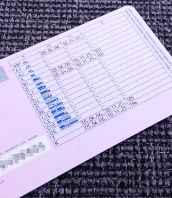 Hungarian-drivers-License-back