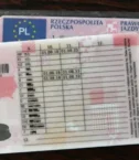 Polish-drivers-License-category-600x431