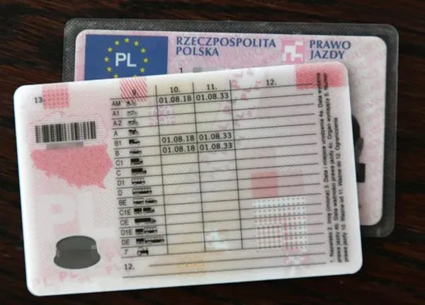 Polish-drivers-License-category-600x431