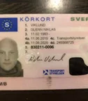 Swedish-drivers-License-cost-1536x1166