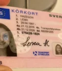 Swedish-drivers-license2-600x381