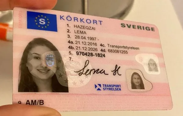 Swedish-drivers-license2-600x381