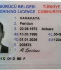 Turkish-driving-License-600x380