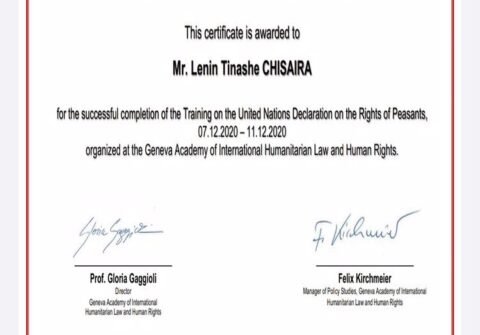buy-college-degree-from-the-institut-de-hautes-etudes-internationales-et-du-developpement