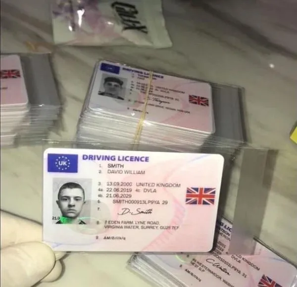 driving-License2-600x581